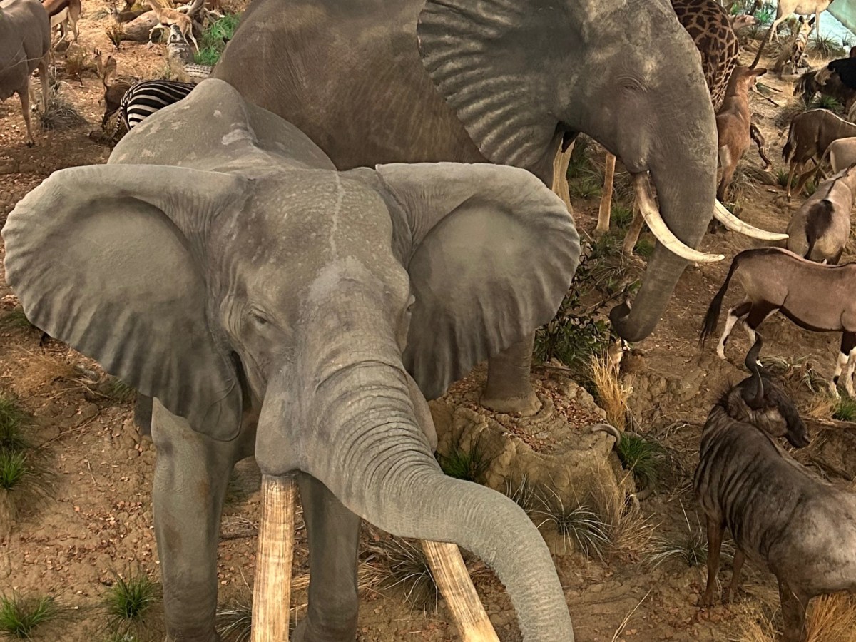 Day Trip: Ritzville,&nbsp;Washington